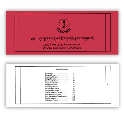 Long Forms 5 fold path of Mahamudra Cover