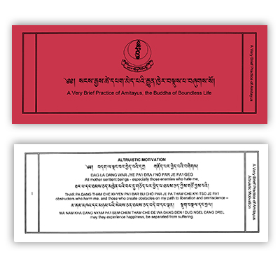 Brief Amitayus Cover